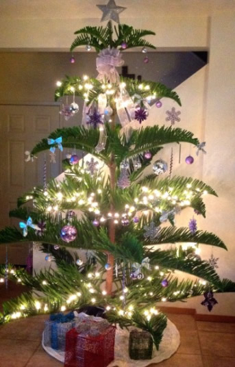 Tropical christmas in hawaii decorations Unconventional yet festive